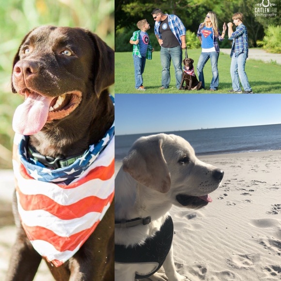 A little bit about me... - Picture 7 of 7